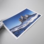 Agave - Image 2