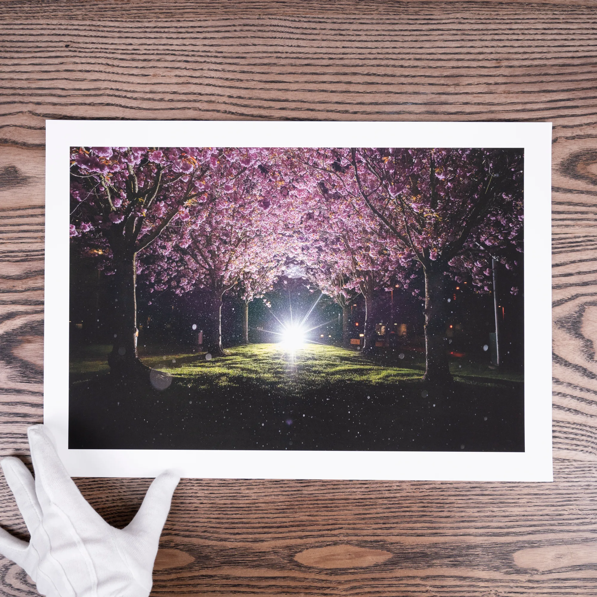 Original by Jamie Tilston printed on Photo Rag® Bright White