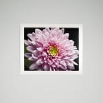 Photo Rag® Metallic - Image 3