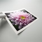 Photo Rag® Metallic - Image 2