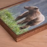 Solid Walnut Frame - Image 4