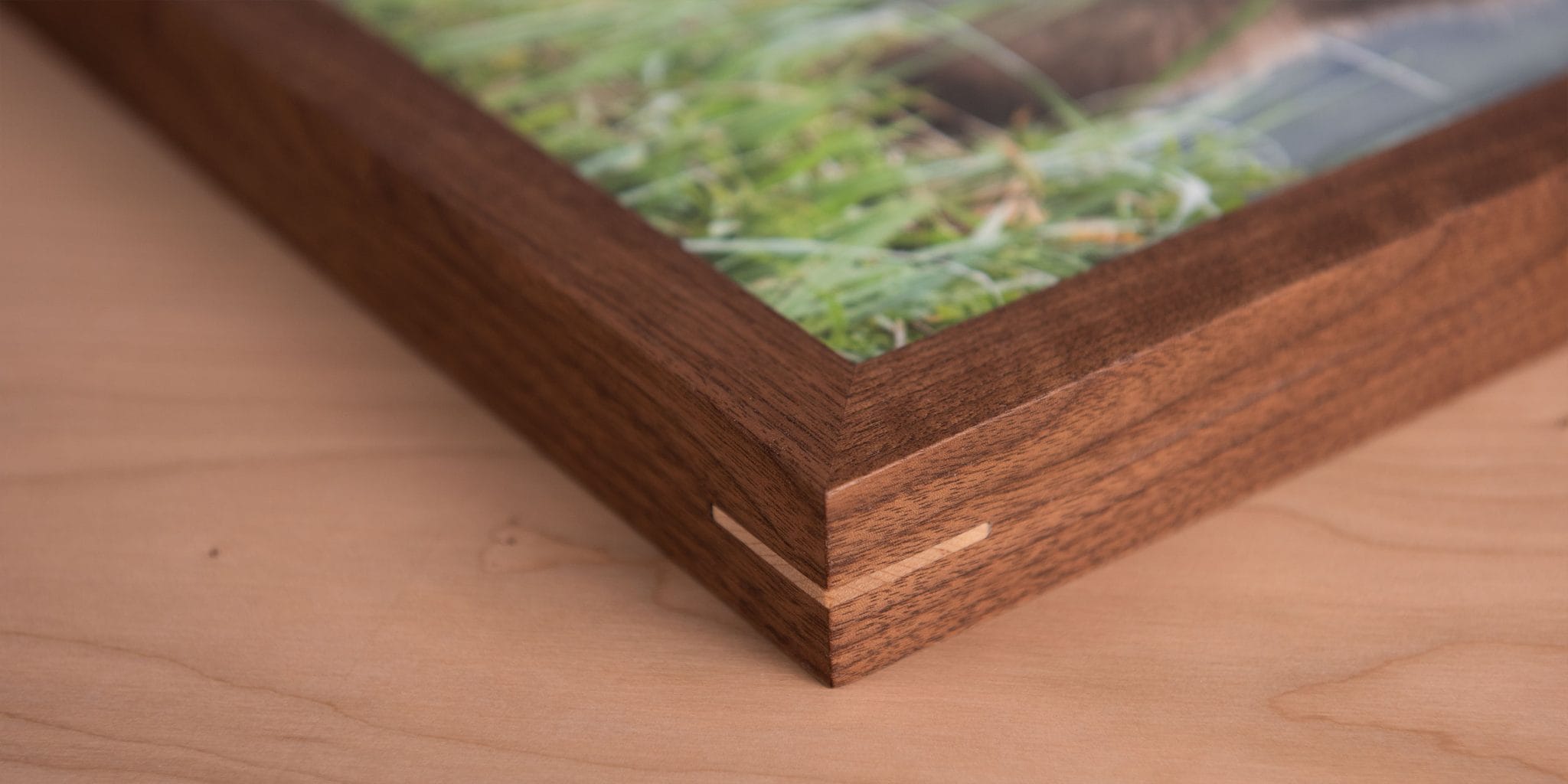 Readymade Frames Resolve Photo