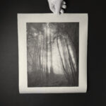 Unryu Thin (Swirling Fibers) - Image 4