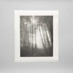 Unryu Thin (Swirling Fibers) - Image 3