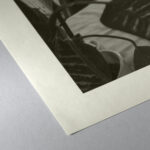 Asuka Kozo Natural - Image 5
